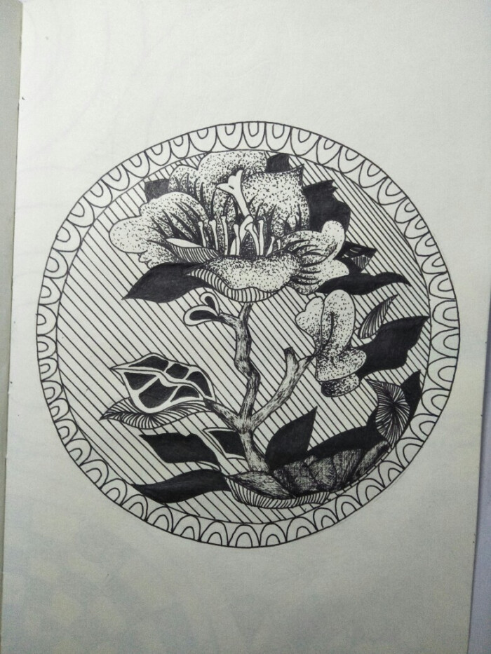 桃花黑白画-堆糖,美好生活研究所