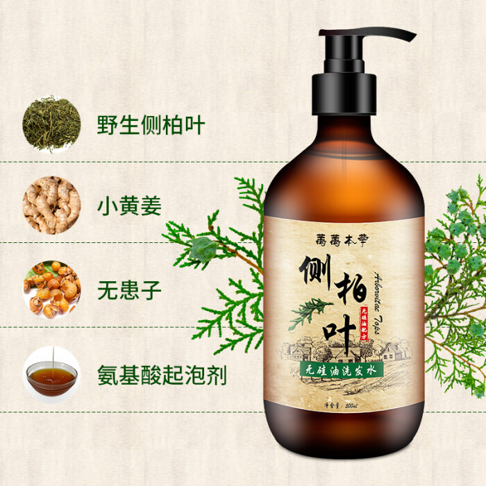 侧柏叶和红枣煮水吃功效