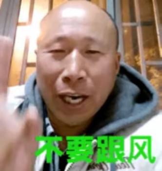 雄鹰高飞表情