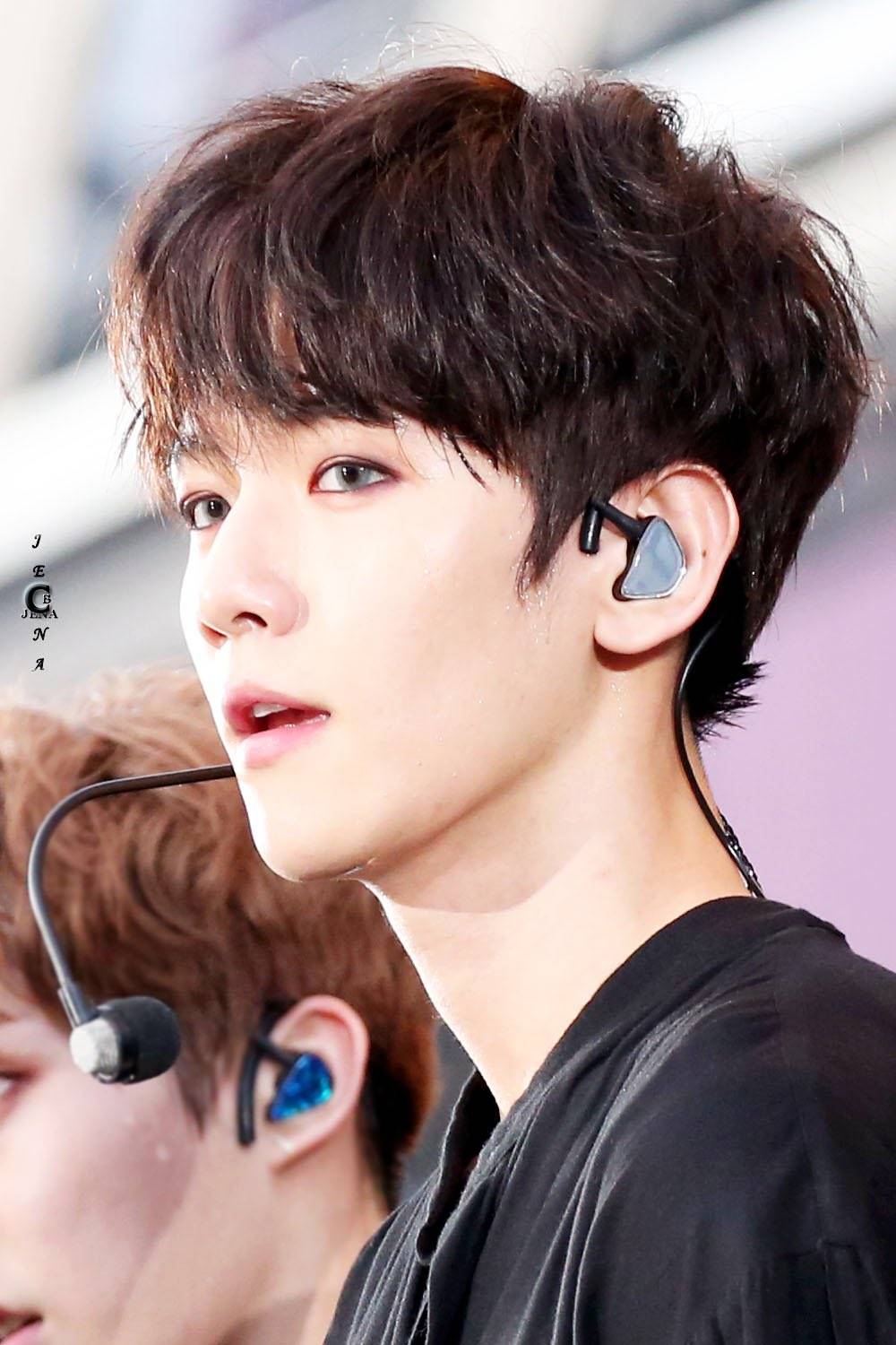 边伯贤 三巡the exo"rdium