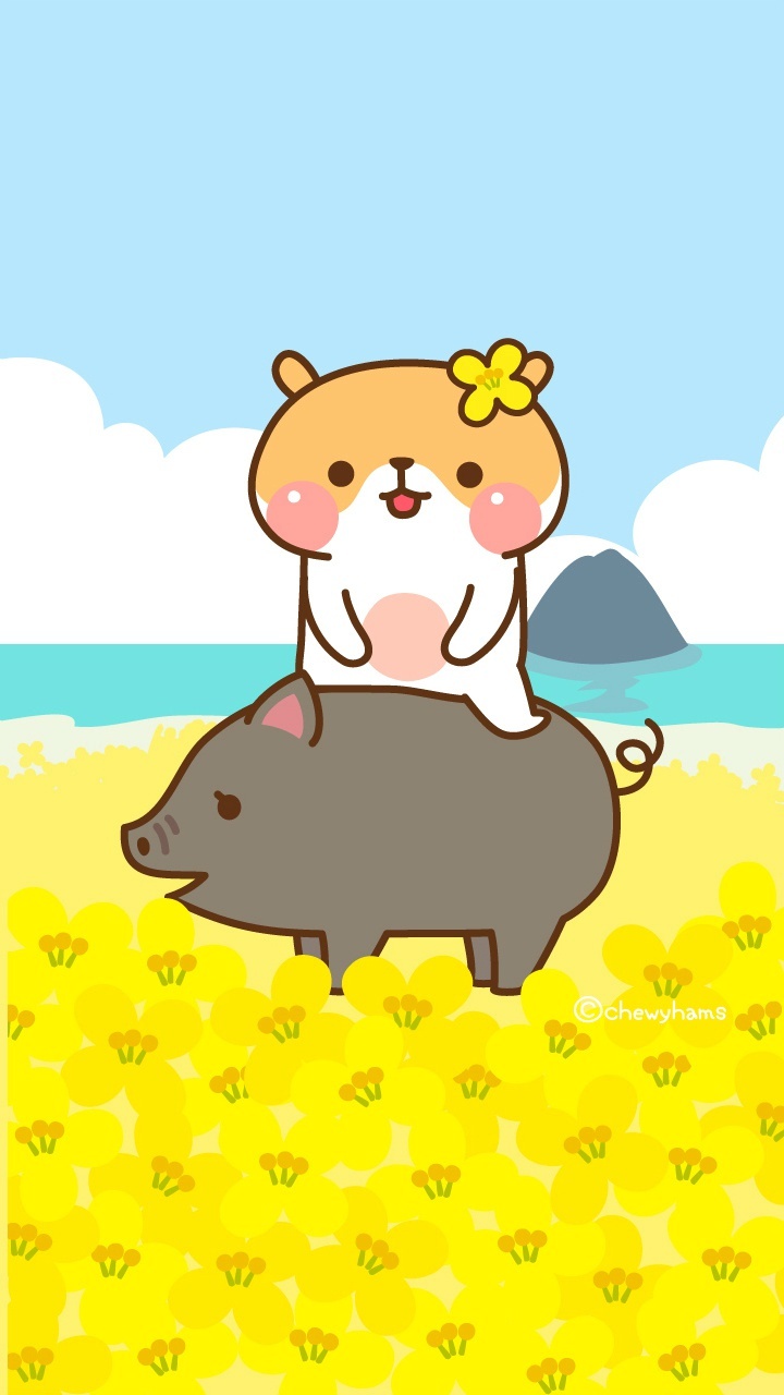 可爱小熊:汉斯圆滚滚