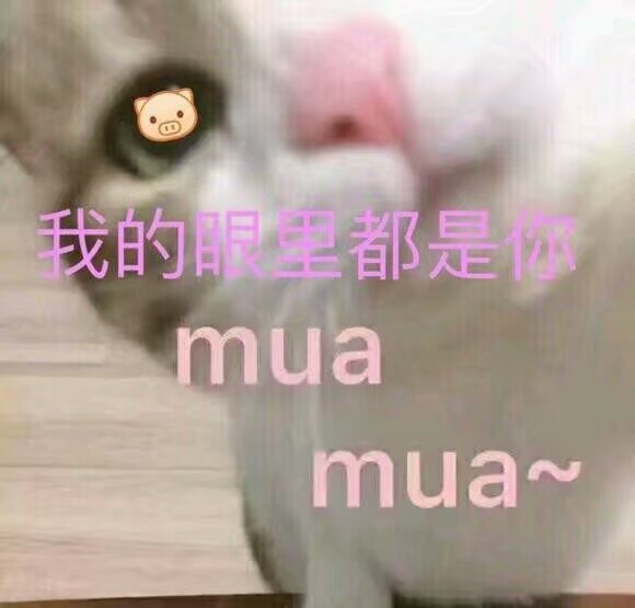 表情包mua