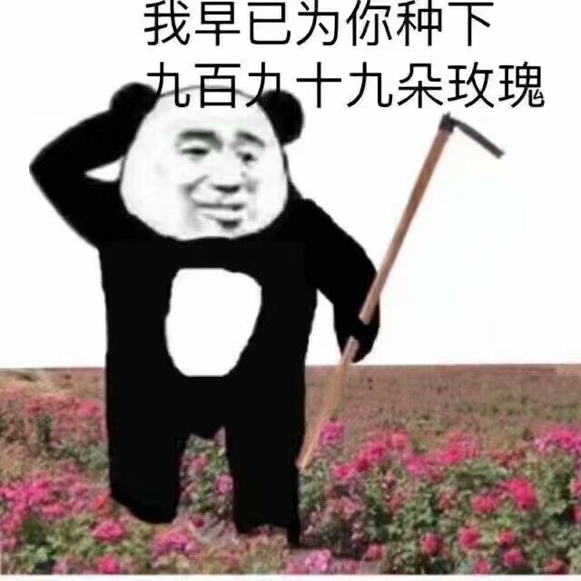 熊猫头表情包