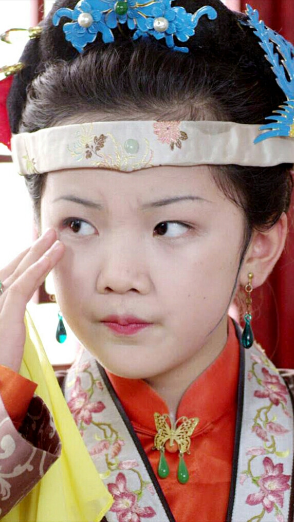 红楼梦 王夫人 钟奕儿