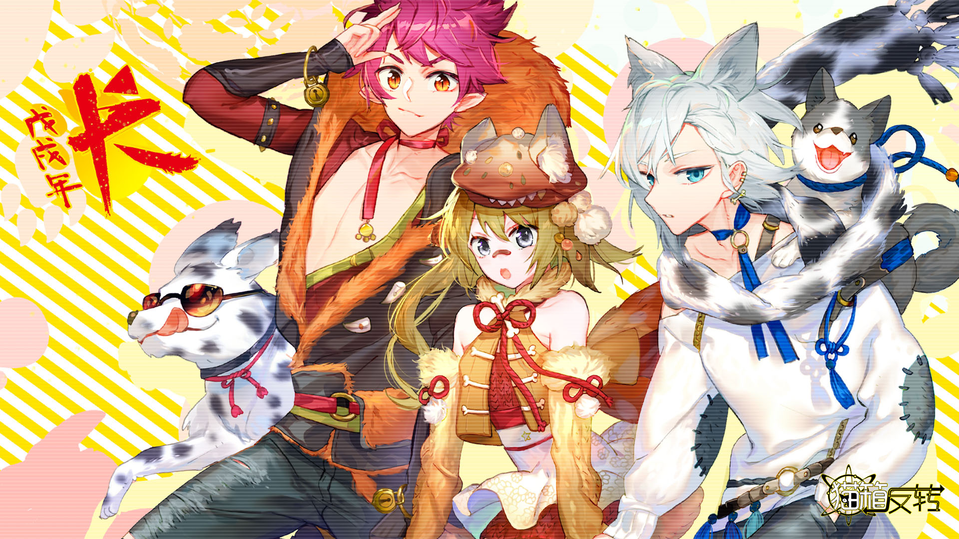 神漫《猫箱反转》by dr.