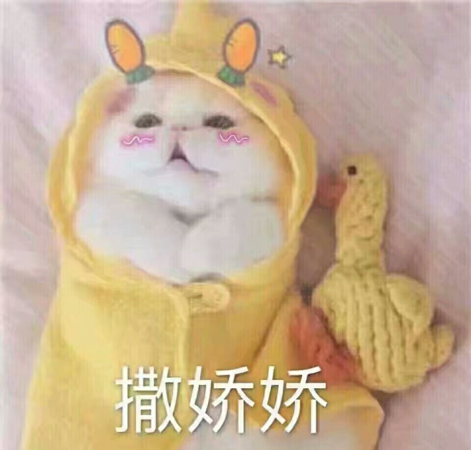 卖萌 萌宠 猫咪表情包 动物