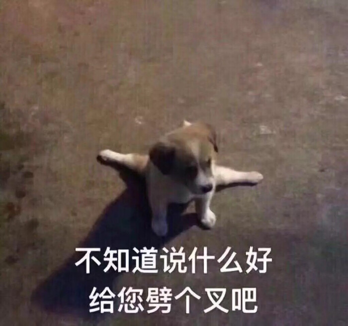 不知道说什么好 给您劈个叉吧