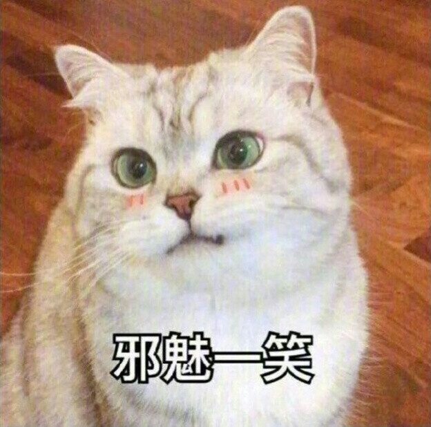 喵星人表情邪魅一笑微信牛牛动态表情模板图片