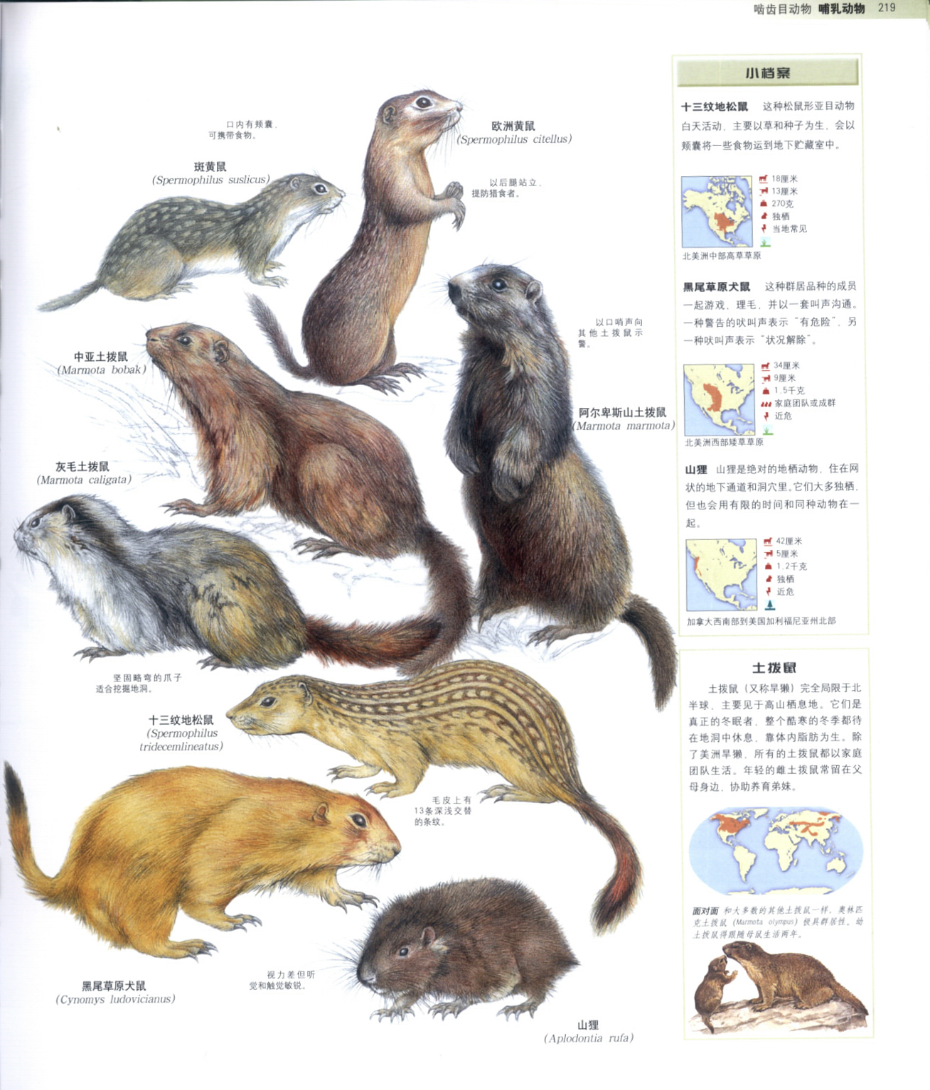 世界动物百科全书