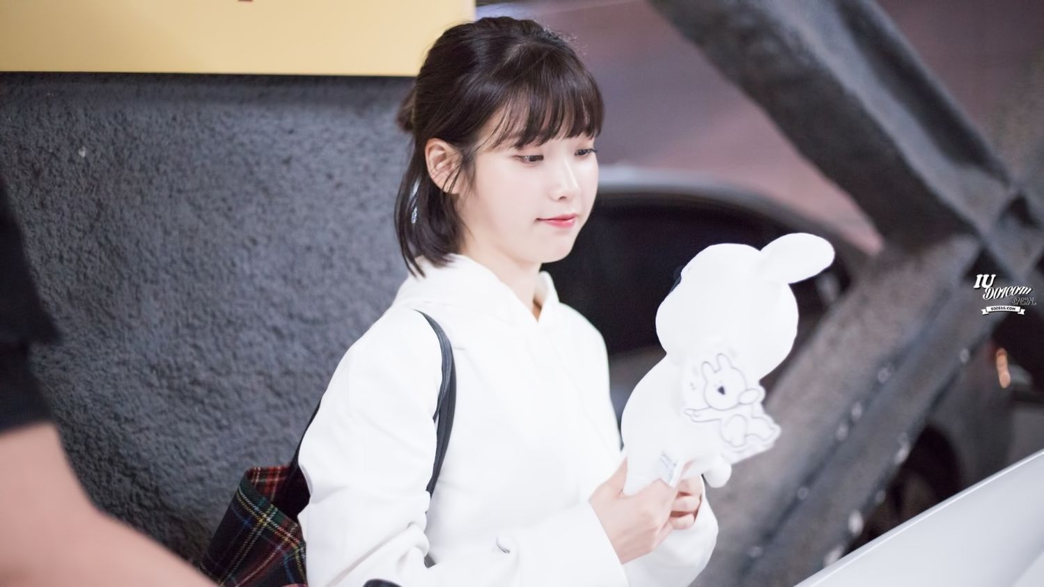 关注  iu 壁纸 头像 收藏