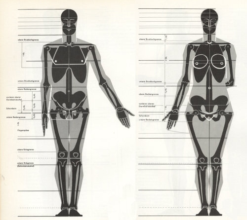 生物讲男女身体结构图片