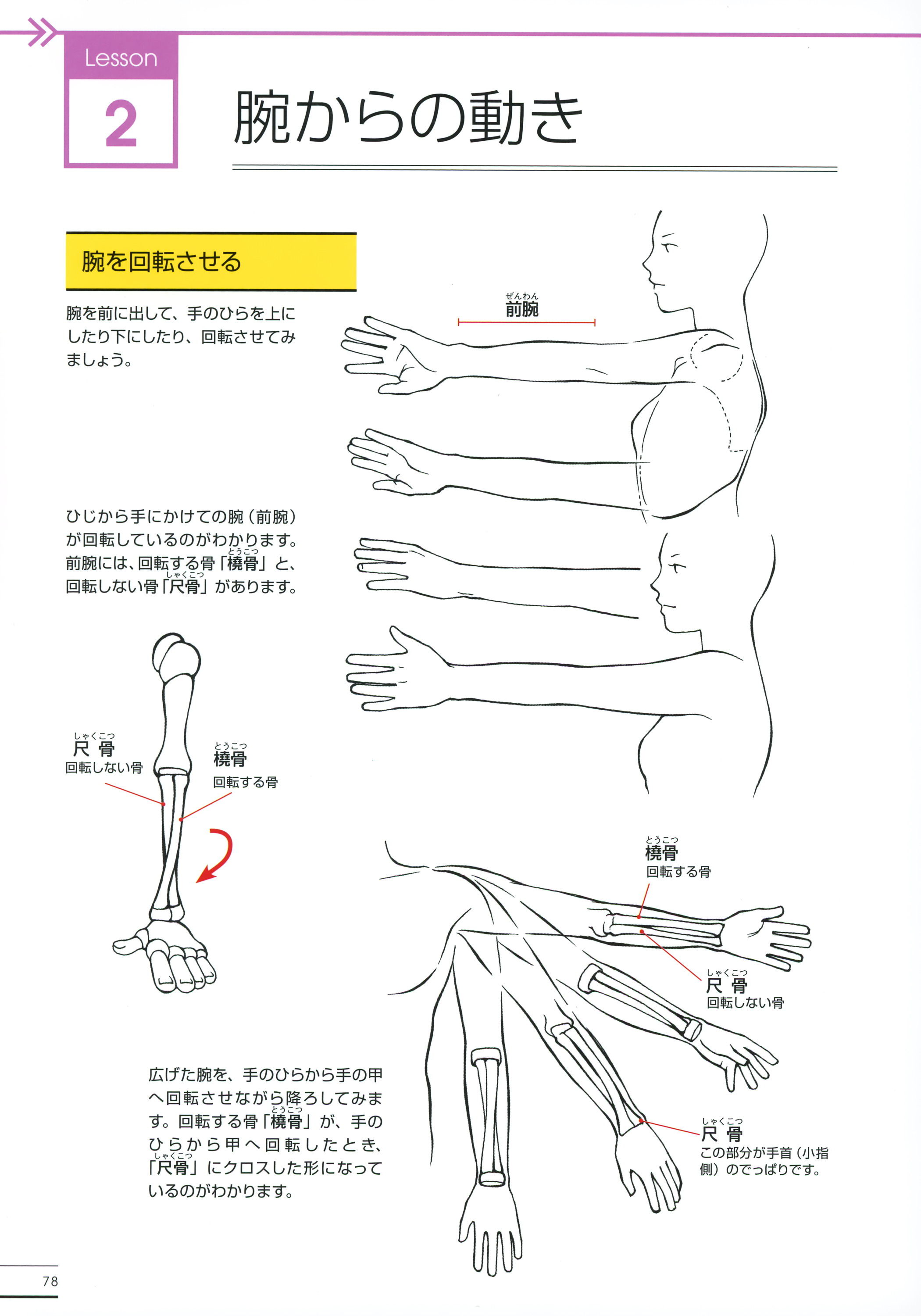 手足简笔画图片