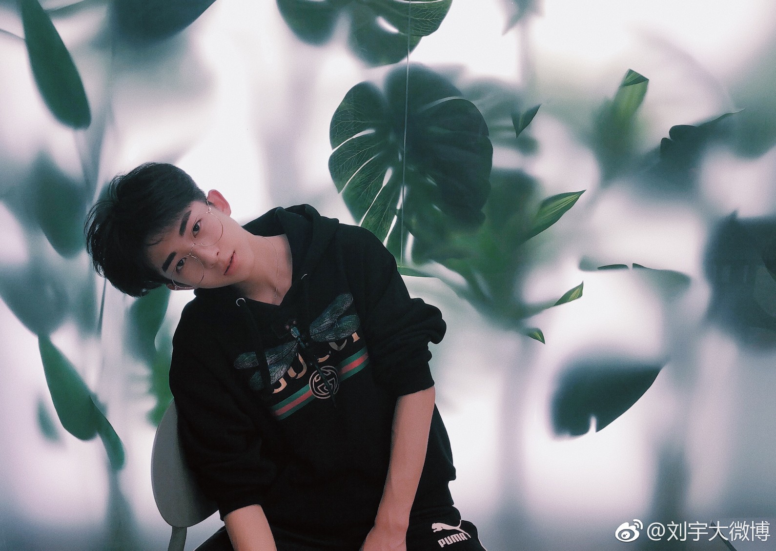 抖音刘宇