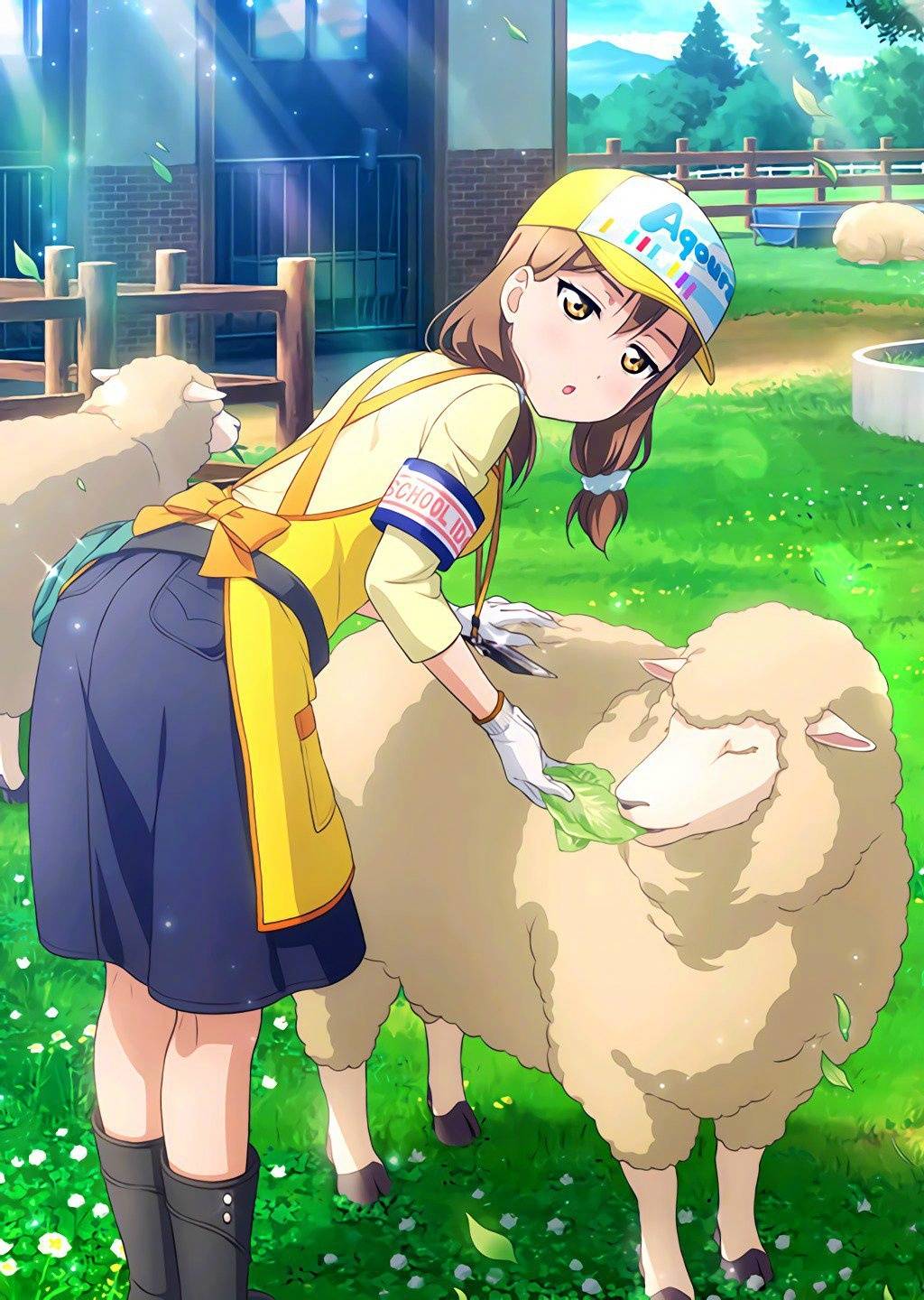 sunshine 【动物篇】高海千歌 松浦果南 樱内梨子 渡边曜 津岛善子 黑