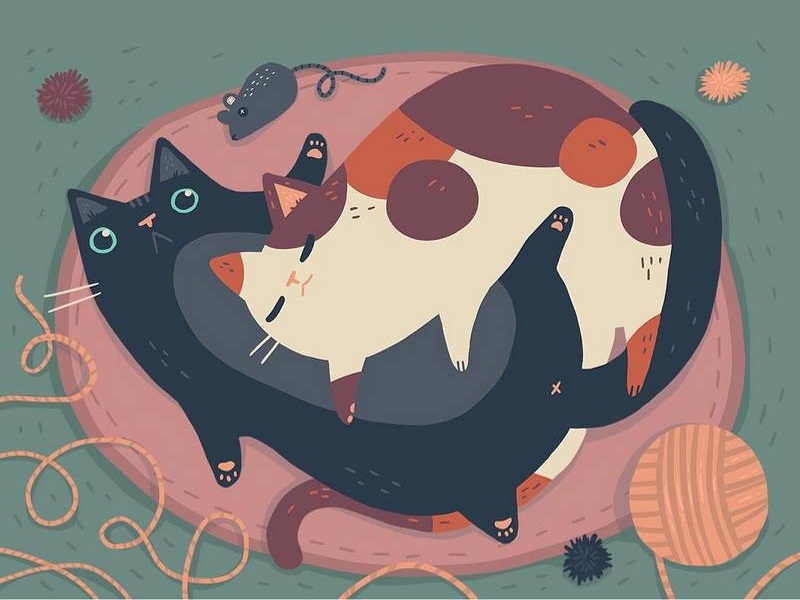 猫咪插画_by_kelseyking
