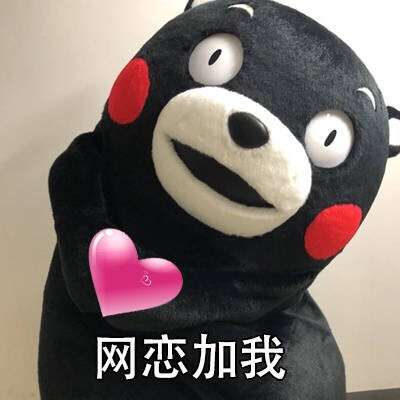 熊本熊动态表情网恋加我摇摆表情头像包的图片