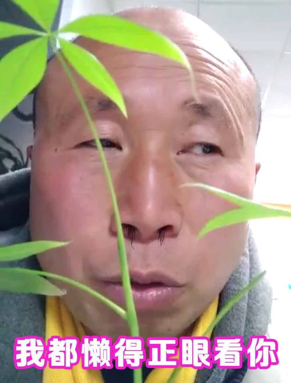 高飞老师#表情包#图源网络侵删致歉