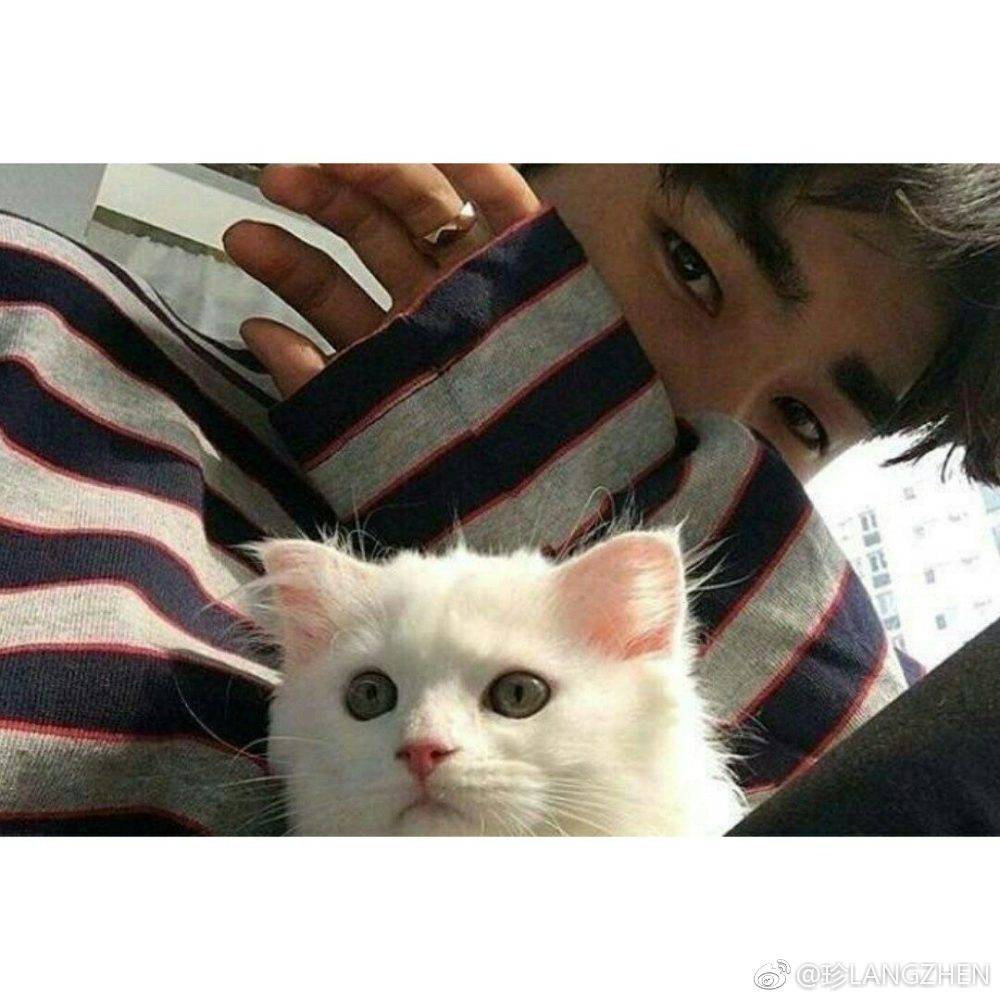 男生白边头像