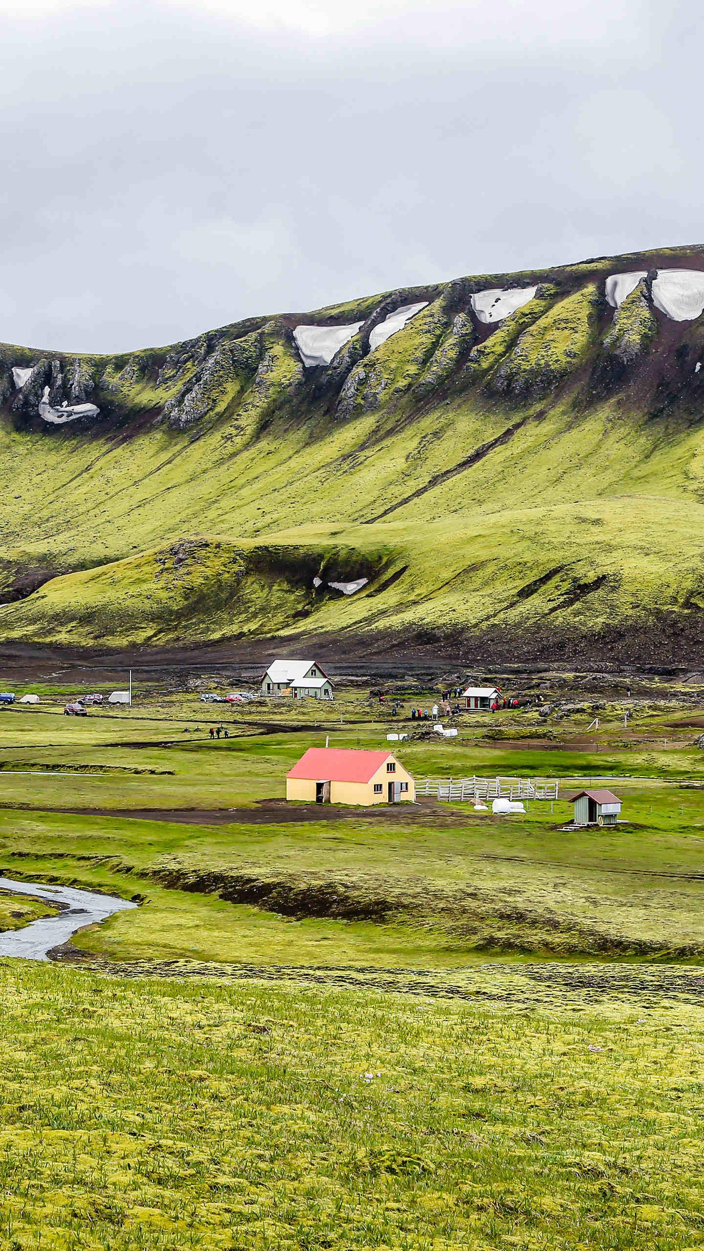 冰岛植被图片