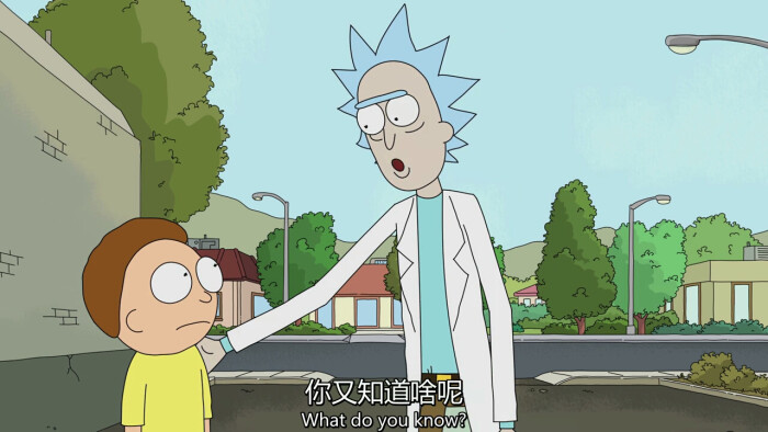 rick and morty 你又知道啥呢