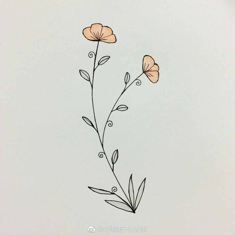 小花朵花边简笔画图片