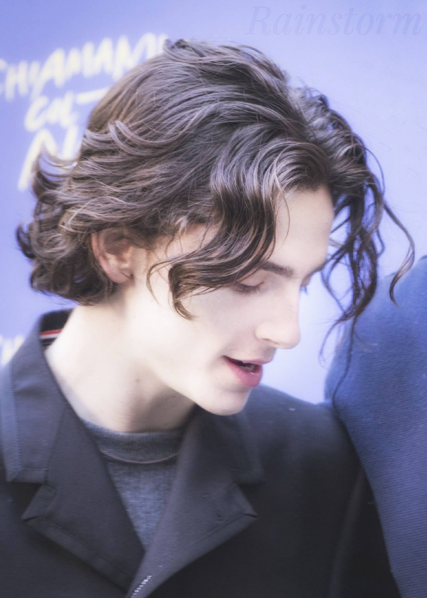 提莫西·查拉梅timothée chalamet