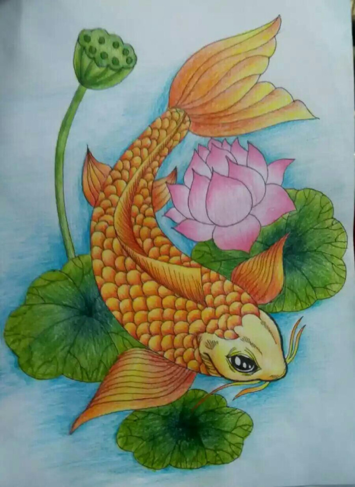 小金鱼 