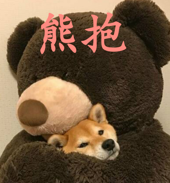 柴犬腹肌萌妹可爱熊抱卖萌v腹肌小朋友有八块表情的搞笑图片图片