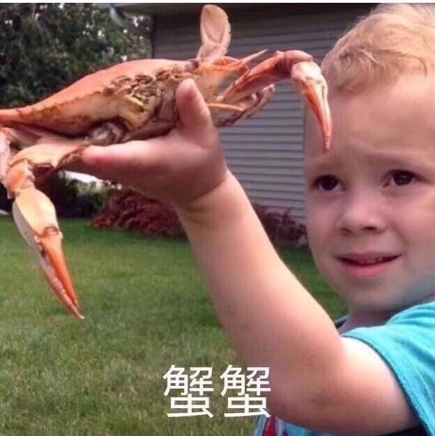优雅的微笑,谢谢蟹蟹,外国小男孩可爱表情包