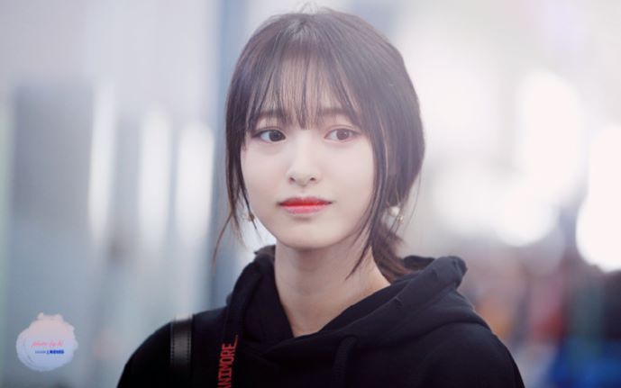 络络 徐子轩三太子 徐子斩