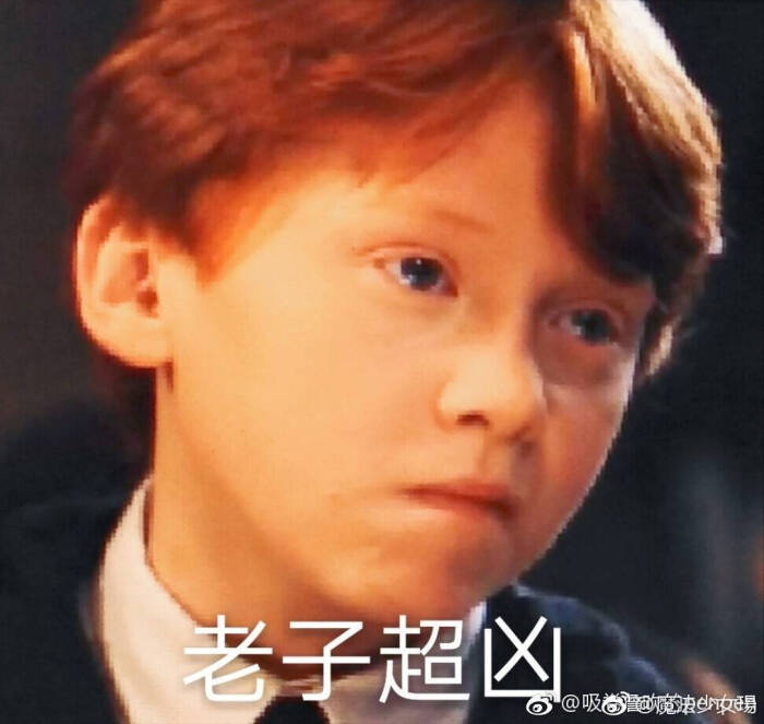 罗恩表情包