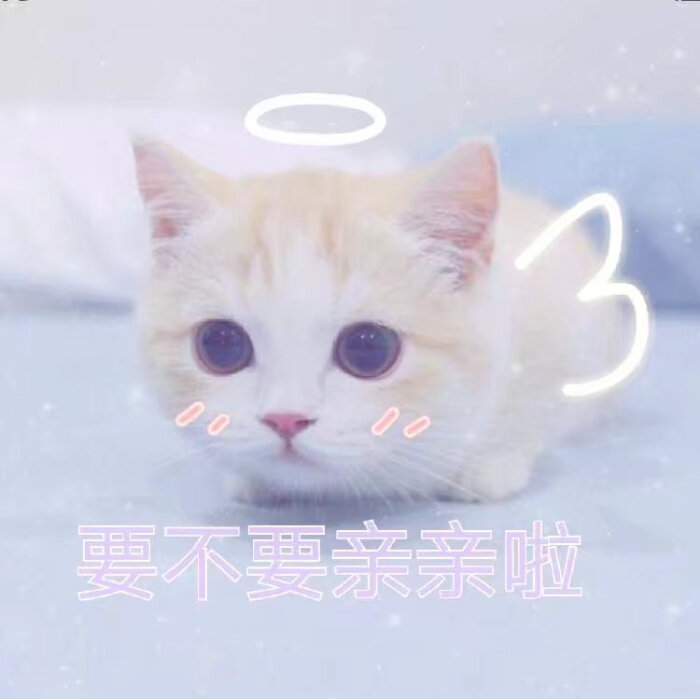 2018年2月28日 18:07   关注  猫咪表情包 评论 收藏