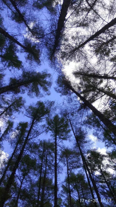 风景(好朋友出去玩的时候拍给我的)适合当卡贴