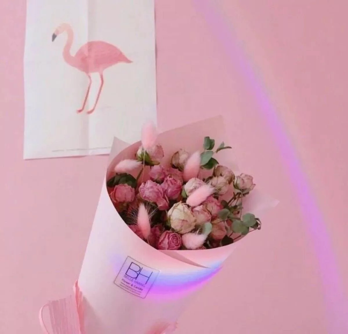 少女粉 头像 背景图