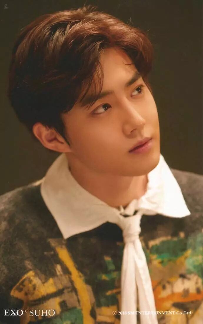 exo 金俊勉 suho