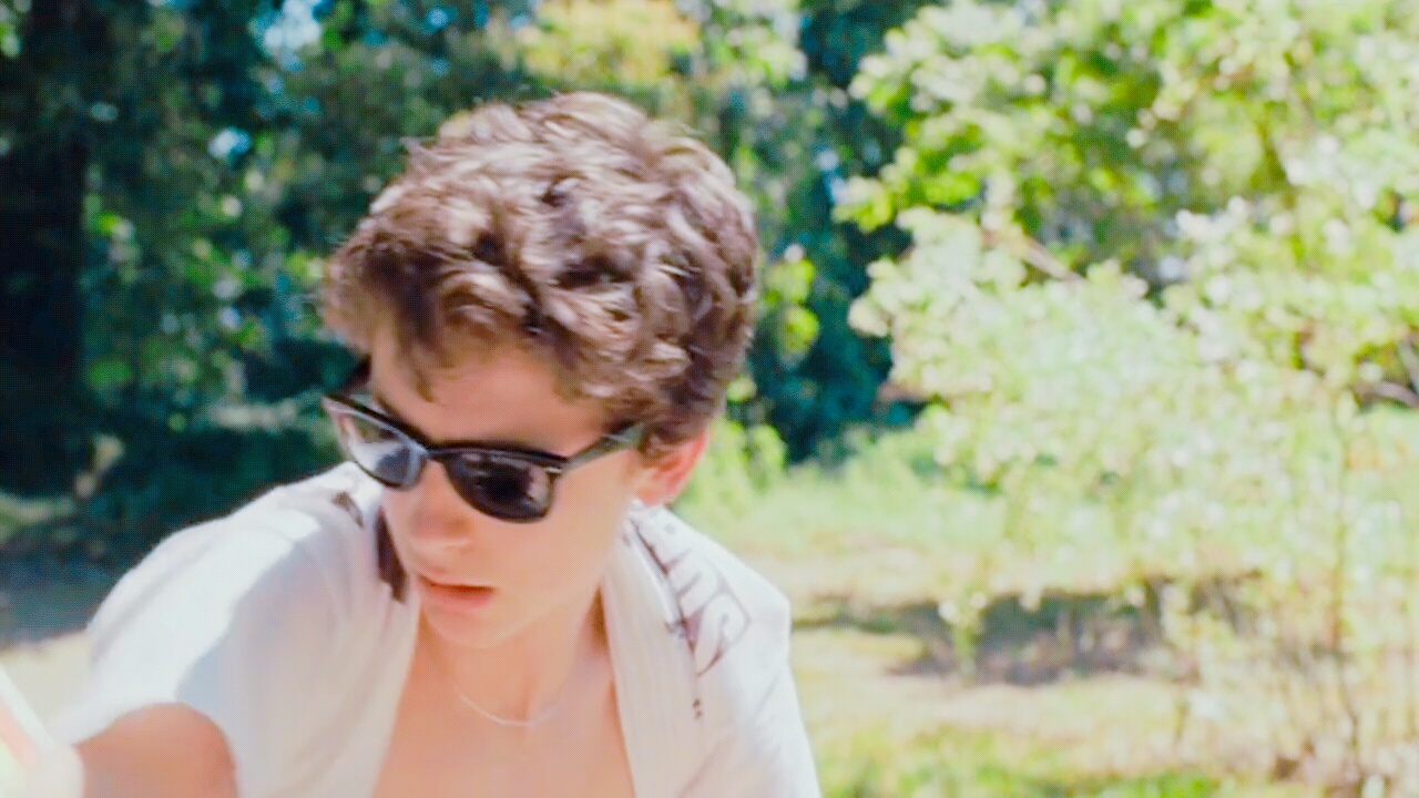 蒂莫西·柴勒梅德timothéechalamet(请以你的名字呼唤我)