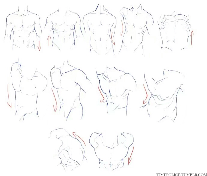 人体 绘画素材
