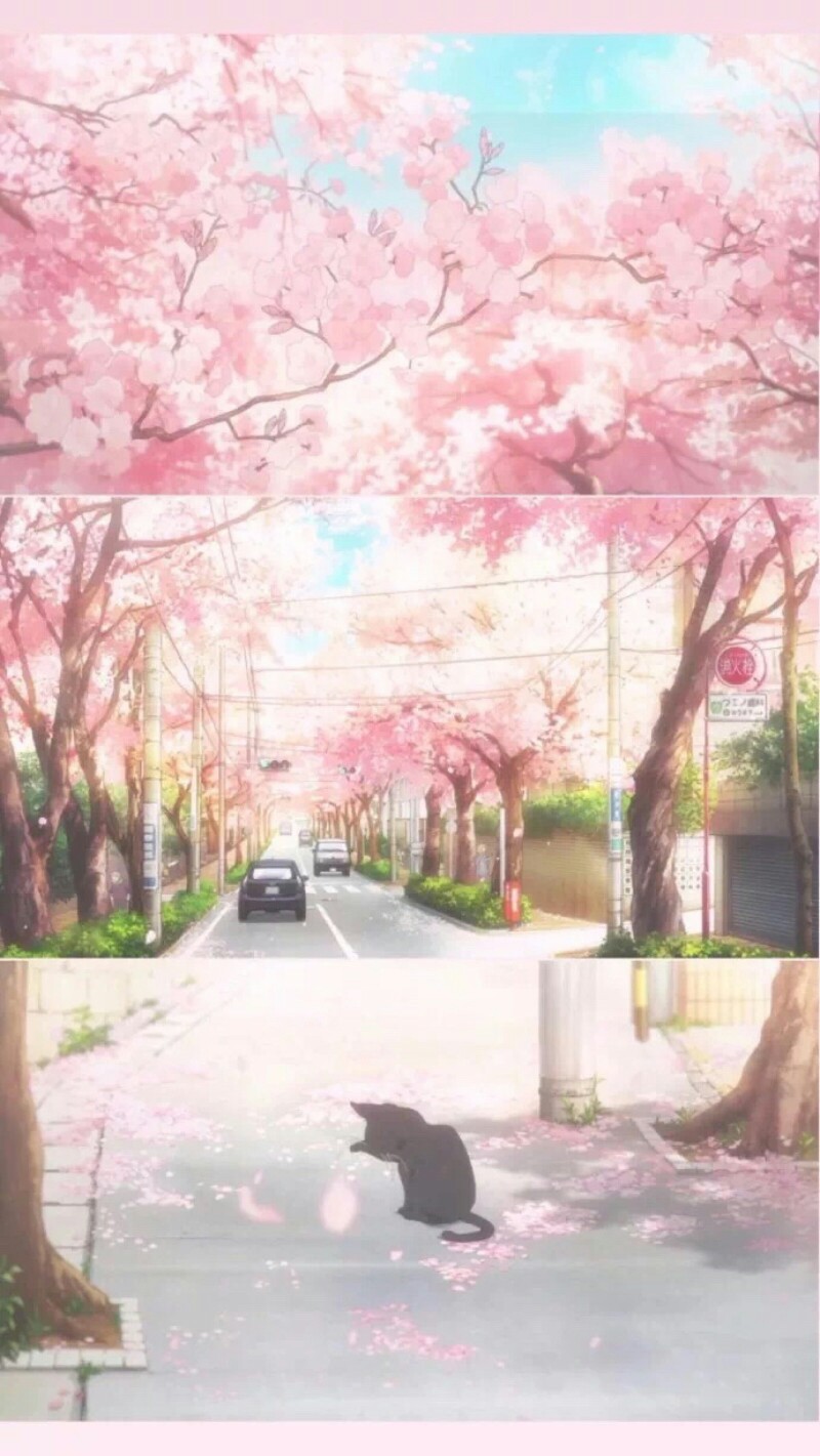 场景,意境,唯美,古景,二次元,插画,壁纸,背景,治愈系,森系,清新