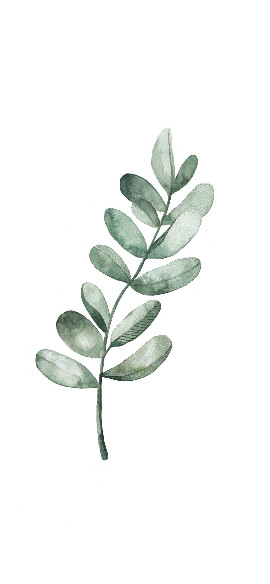 iphone x 简约树叶壁纸-堆糖,美好生活研究所