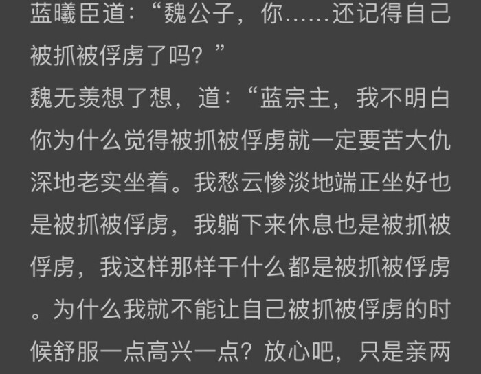 魔道祖师 蓝忘机 魏无羡 夷陵老祖 江澄