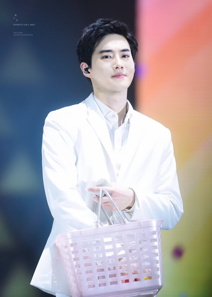 exo 金俊勉 suho