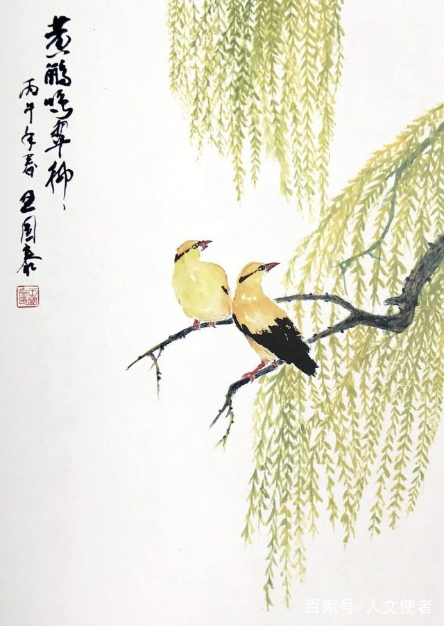 黄鹂鸣翠柳美术图片