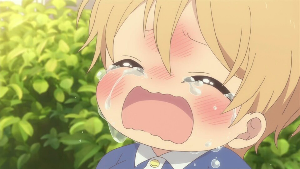 数马
