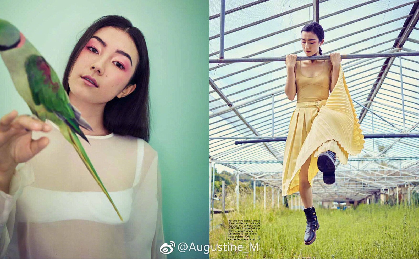 刘承羽 堆糖,美图壁纸兴趣社区
