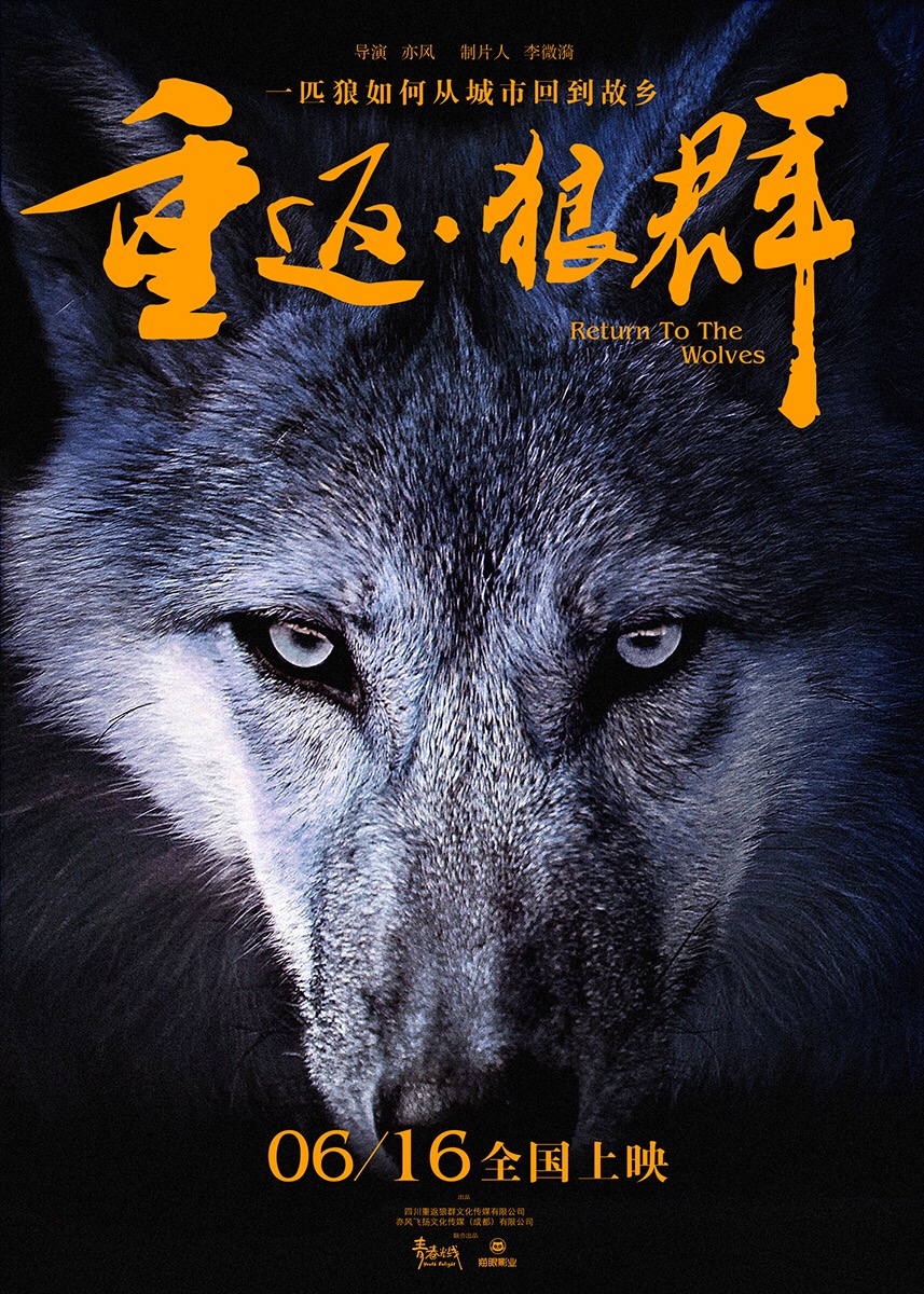 真实纪录片《重返·狼群》是四川重返狼群文化传媒,亦风飞扬文化传媒
