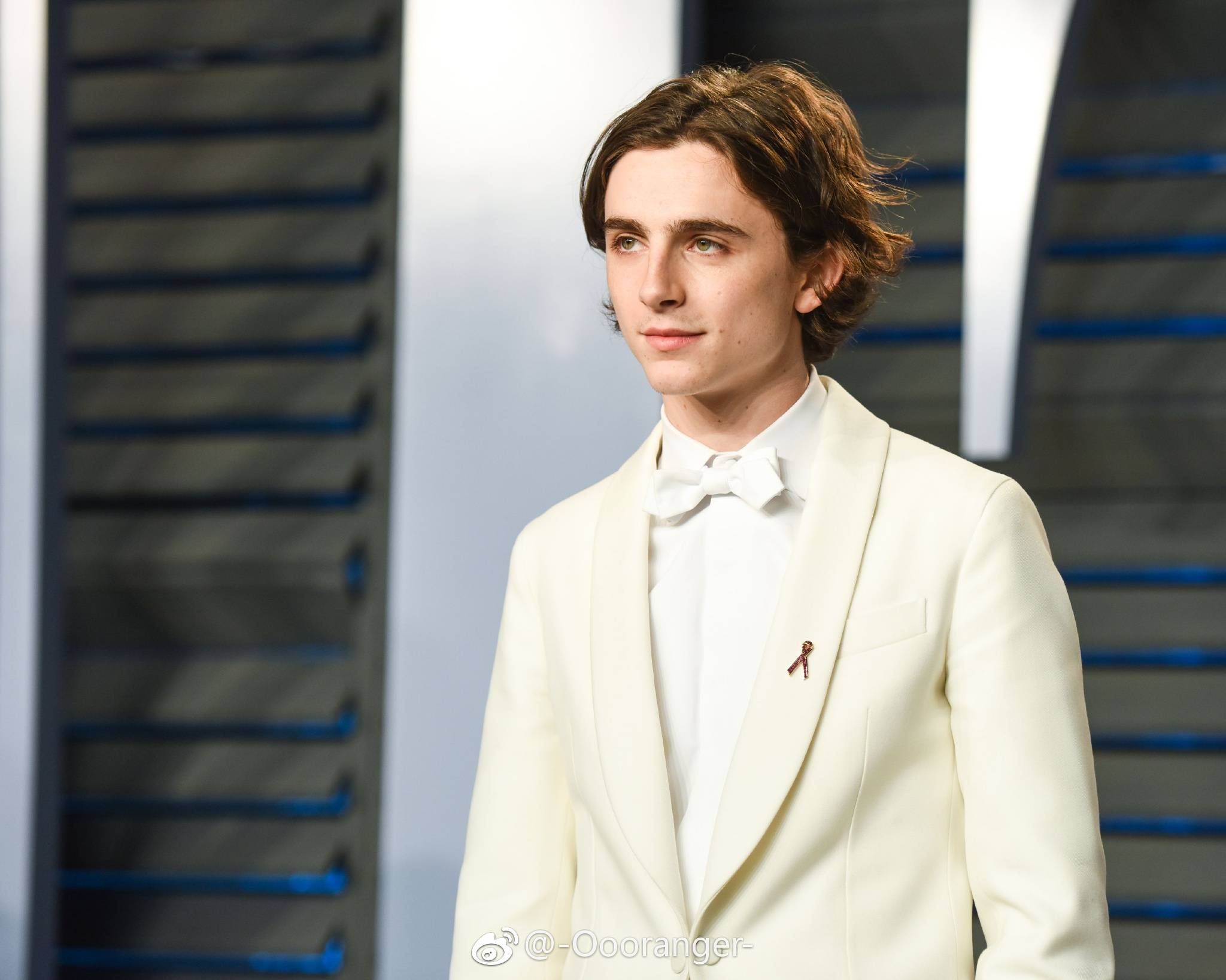 蒂莫西·柴勒梅德timothéechalamet(请以你的名字呼唤我)