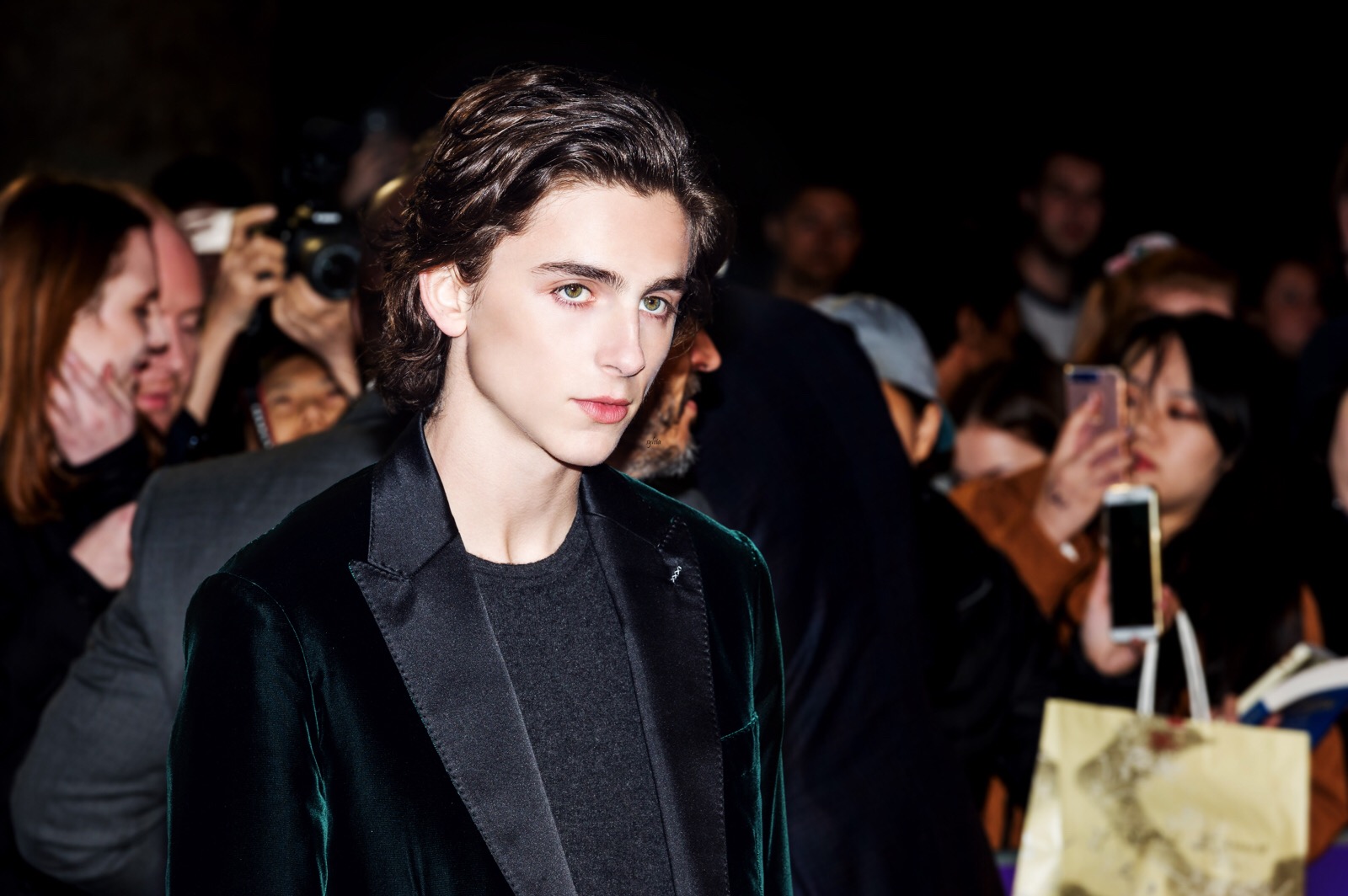 蒂莫西·柴勒梅德timothéechalamet(请以你的名字呼唤我)