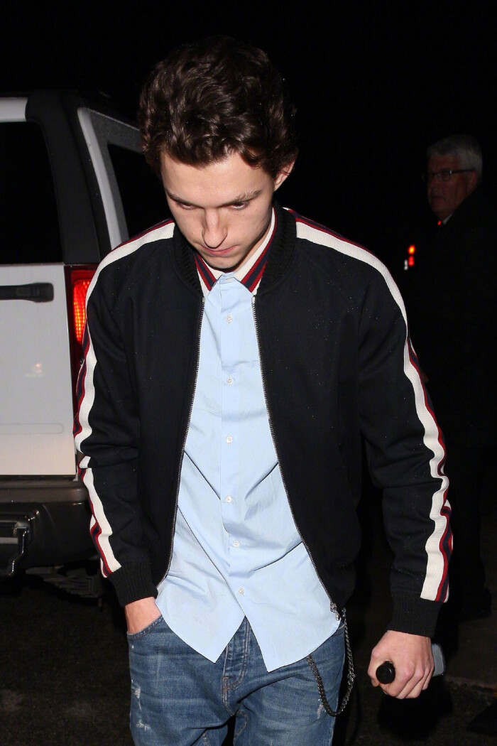 汤姆赫兰德 荷兰弟 tomholland