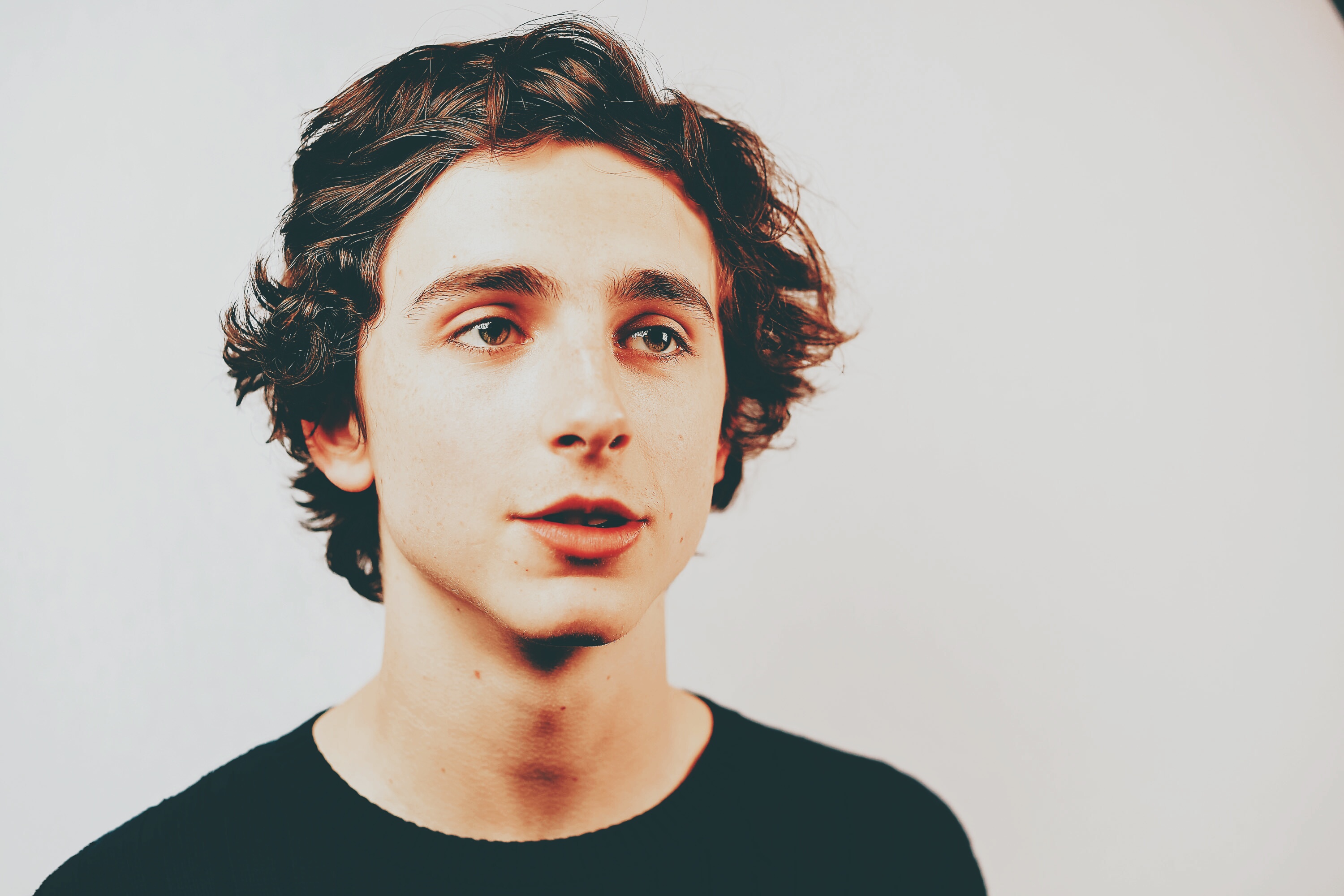 蒂莫西·柴勒梅德timothéechalamet(请以你的名字呼唤我)