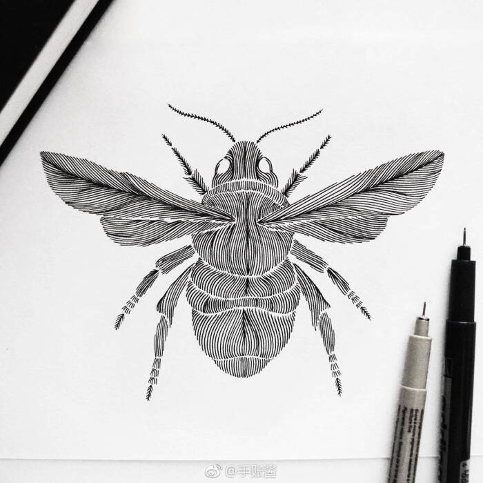黑白画